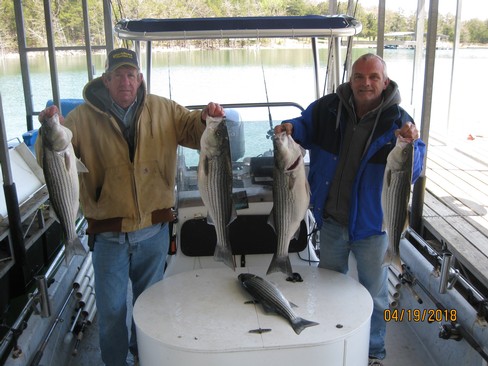 Nice Striped Bass